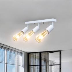 Світильник в стилі лофт з поворотним механізмом MSK Electric Asket NL 1222-3 W