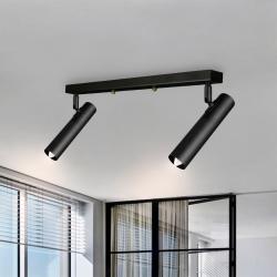 Светильник лофт MSK Electric Elegant с поворотными плафонами спот NL 1840-2
