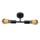 Люстра потолочная MSK Electric Asket на две лампы Е27 NL 2213-2 BK черная