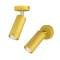 Світильник MSK Electric Tube спот з поворотним механізмом MR 1105-1 GD