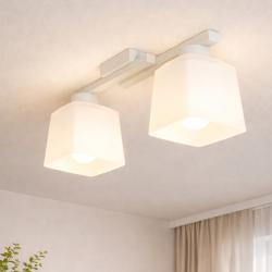 Люстра стельова на два плафони MSK Electric Dublin під лампи Е27 біла NL 16610-2 WH