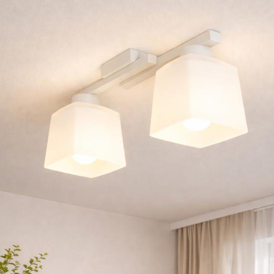 Люстра потолочная на два плафона MSK Electric Dublin под лампы Е27 белая NL 16610-2 WH