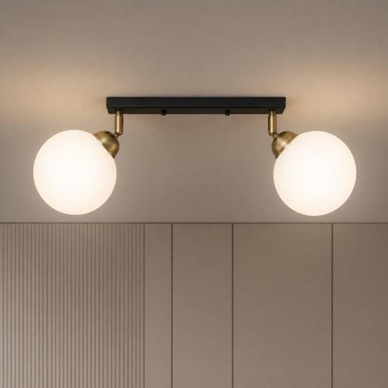 Светильник потолочный MSK Electric Luna на два поворотных плафона шара под лампы E27 PL 20261-2 BK