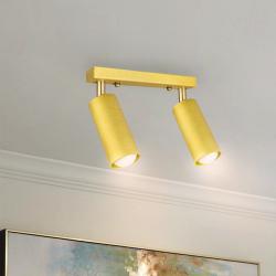 Светильник MSK Electric Tube спот с поворотными механизмами MR 1105-2  GD
