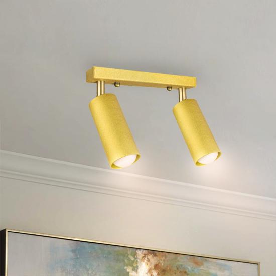 Світильник MSK Electric Tube спот з поворотними механізмами MR 1105-2 GD