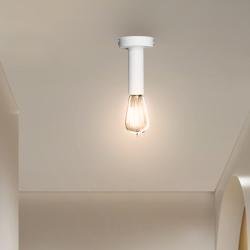 Светильник потолочный MSK Electric Asket NL 1409 W