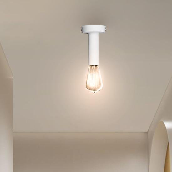 Светильник потолочный MSK Electric Asket NL 1409 W