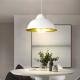 Светильник подвесной в стиле лофт MSK Electric Dome СП 3614 WH+GD
