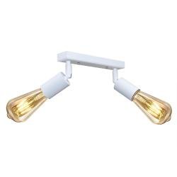 Світильник в стилі лофт з поворотним механізмом MSK Electric Asket NL 1222-2 W