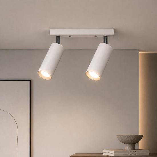 Світильник в стилі лофт MSK Electric Tube спот з поворотним механізмом NL 1105-2 W