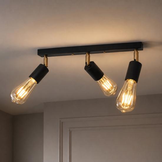 Светильник в стиле лофт с поворотным механизмом MSK Electric Asket NL 1222-3